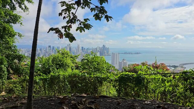 City of Panama aerial view from forest.