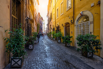 View of old narrow street in Rome, Italy. Architecture and landmark of Rome. Cozy cityscape of Rome.