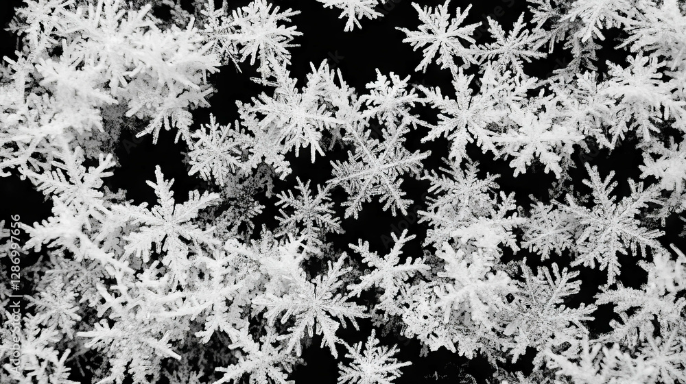 Poster intricate snowflakes macro texture background for winter design