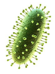 Naklejka premium microscopic view of green virus particle with spikes, biological and scientific concept 