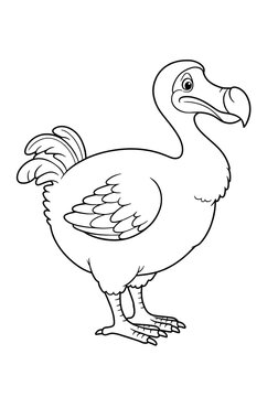 bird dodo coloring 