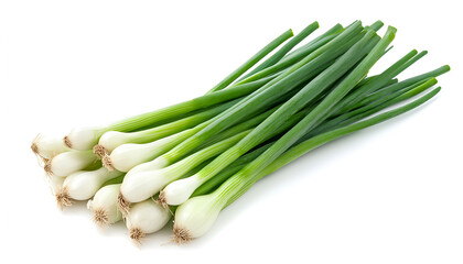 Lots of fresh green onions isolated on white