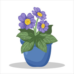 Decorative houseplant violet flower in a blue flower pot. Gardening hobby. Home interior decoration. Isolated vector illustration on white background.