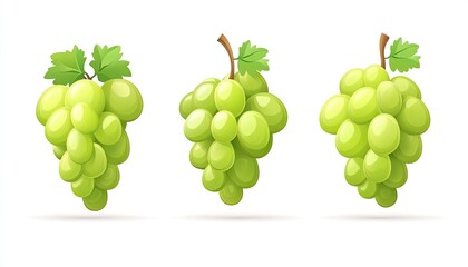 Three Bunches of Green Grapes with Leaves on a White Background
