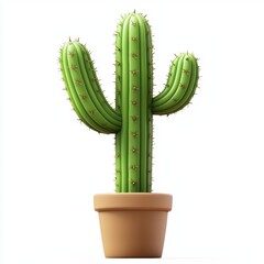 Naklejka premium Cactus plant isolated on white background