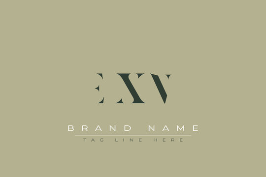 EXN abstract letter logo design. This logo is designed by three abstract letters.