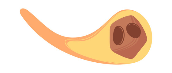 Meteor cosmic space body falling