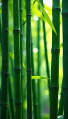 Interlaced bamboo, light and shadow play creating textured surface , summer, yellow, illustration