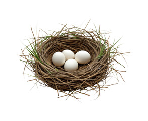 Natural Bird Nest with Four White Eggs Resting Comfortably Amidst Twigs and Grass, Isolated on Transparent and White Background