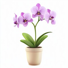 Naklejka premium Orchid flower plant isolated on white background