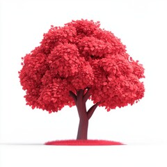 Red maple tree isolated on white background