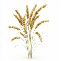 Rye plant isolated on white background