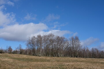 Landschaft im Februar