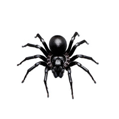 Close-up of black spider on a transparent background