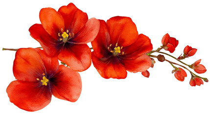 Vibrant red watercolor flowers with delicate petals and green stems, perfect for decoration or design