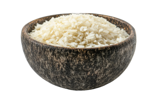 bowl of rice and its appeal in food and culinary imagery.