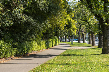 A tree-lined pedestrian walkway runs alongside an urban road, surrounded by lush green foliage and...