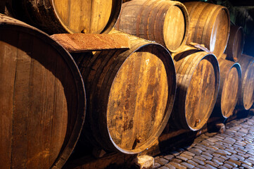 Visit of old caves with oak barrels, wine making on bodegas wineries on volcanic soils of Mount...