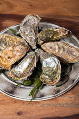 Plate with fresh live raw Fine de Claire Oleron oysters seashells served oyster-farming village, Marennes Oleron area, France