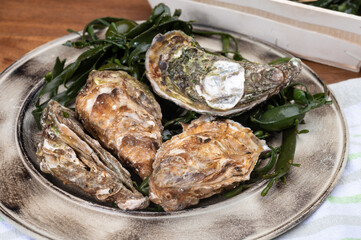 Plate with fresh live raw Fine de Claire Oleron oysters seashells served oyster-farming village, Marennes Oleron area, France