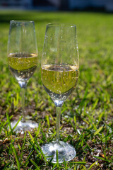 Celebration, birthday party, drinking of cava or champagne sparkling wine in vacation resort Costa Adeje, Tenerife, Canary islands winter sun vacation, Spain