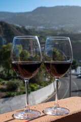 Wine making on bodegas wineries on volcanic soils of Mount Teide in Ycoden-Daute-Isora wine region...