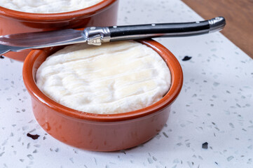 French dauphinois cheeses collection, Saint-Marcellin, Saint- Felicien cow's milk cheese with white...
