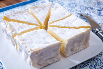 French squared pont l'eveque cow cheese from Calvados department, Normandy, France