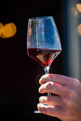 Wine making on bodegas wineries on volcanic soils of Mount Teide in Tacoronte-Acentejo wine region...