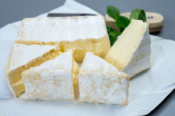 French soft squared pont l'eveque cow cheese from Calvados department, Normandy, France