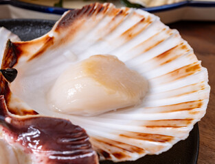 Atlantic bay scallops coquille St. James sea shells, opened in shellsand cleaned, catch of the day...