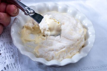 Eating of french dauphinois cheeses collection, Saint-Marcellin, Saint- Felicien cow's milk cheese with white mold from Rhône-Alpes region of France