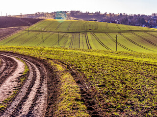 Stromleitung mit Holzmasten im Feld