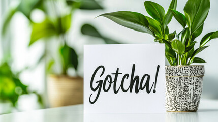 White greeting card with text Gotcha displayed next to potted green plant. Concept of playful surprise, home decor, indoor plants, lighthearted humor