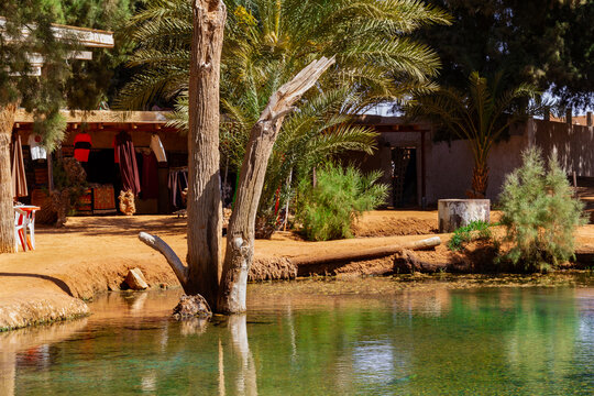 A view of a natural small pond and gift shop in the oasis of Ksar Ghilane. Tunisia