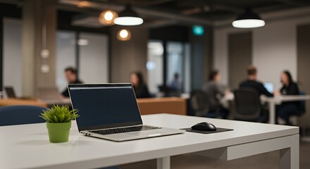 Laptop and Plant on White Desk in Modern Co-working Office Space