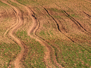 Fahrspuren im Feld