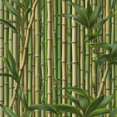 Close-Up of Dense Bamboo Stalks and Leaves
