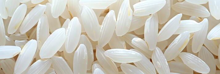 Close-Up of Natural White Rice Grains Showcasing Texture and Simplicity