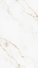 Elegant white and gold marble texture with delicate veins