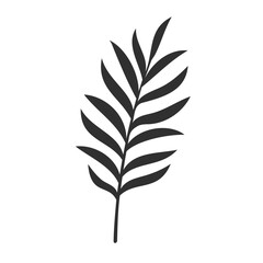 Palm leaf isolated on white background. Black palm leaf silhouette. Tropical tree. Coconut plant. Vector illustration