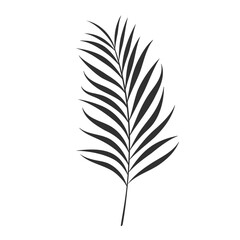 Obraz premium Palm leaf isolated on white background. Black palm leaf silhouette. Tropical tree. Coconut plant. Vector illustration
