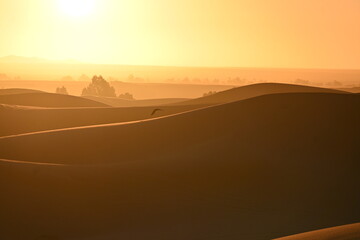 Merzouga, Sahara Desert