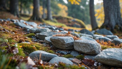 Obraz premium Scenic pathway with wild stones surrounded by autumn foliage in a tranquil forest setting. Ideal for nature and landscaping themes.
