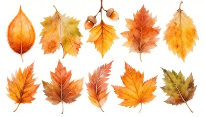 Fototapeta premium Fall foliage, autumn leaf background image, natural texture banner