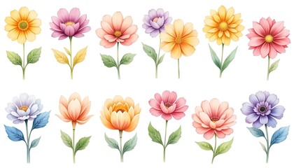 Flower, plant leaf background image, natural texture banner