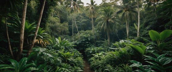 Naklejka premium Lush Tropical Forest Scene with Dense Green Vegetation and Space for Text in a Serene Natural Environment