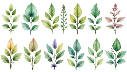 Leaf, plant background image, natural texture banner