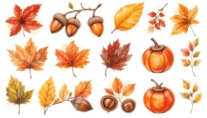 Fototapeta premium Fall foliage harvest, leaf background image, natural texture banner