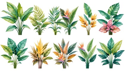 Tropical plant leaves, plant background image, natural texture banner